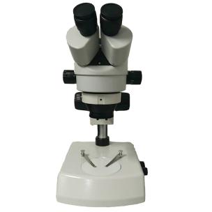 Zoom Stereo Microscope